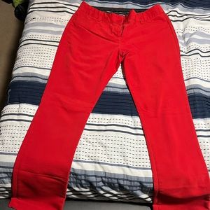 Express Bootleg Work Pant Size: 6R